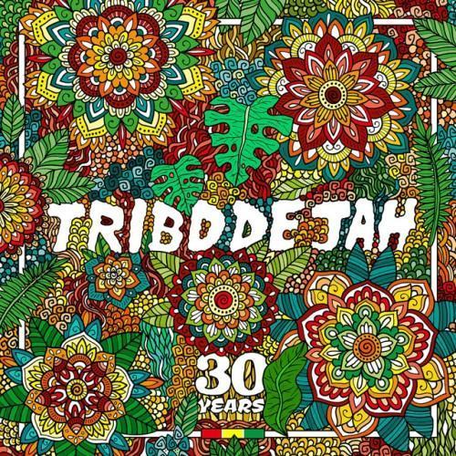Come to the Vibe (30 Years)