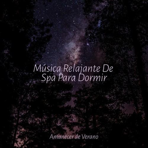 Música Relajante De Spa Para Dormir