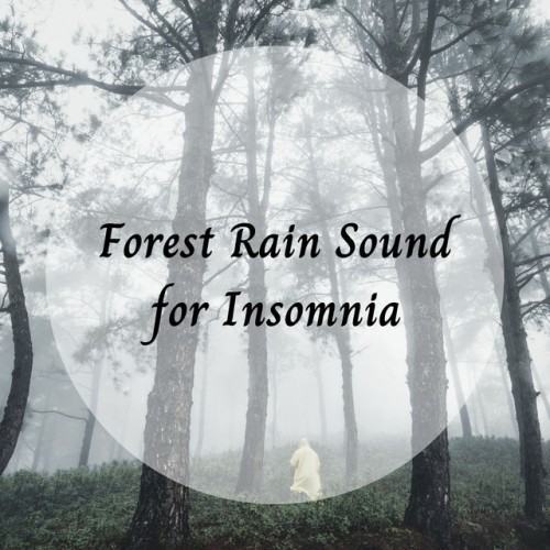 Forest Rain Sound for Insomnia