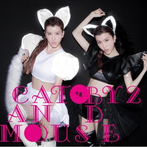 Cat And Mouse
