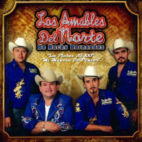 Los Plebes al 100