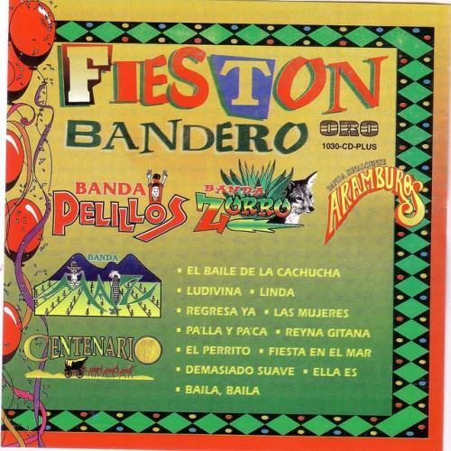 Fieston Bandero