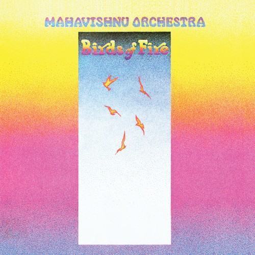 Birds Of Fire