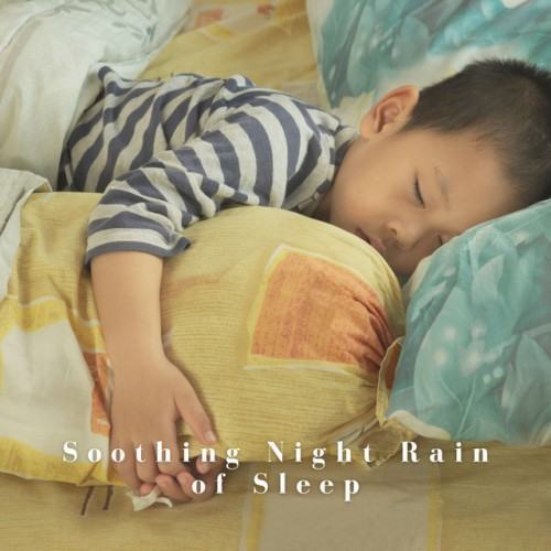 Soothing Night Rain of Sleep