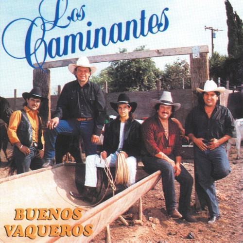 Buenos Vaqueros