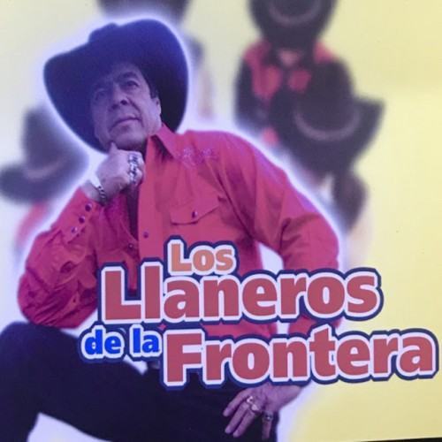 Me Caiste del Cielo