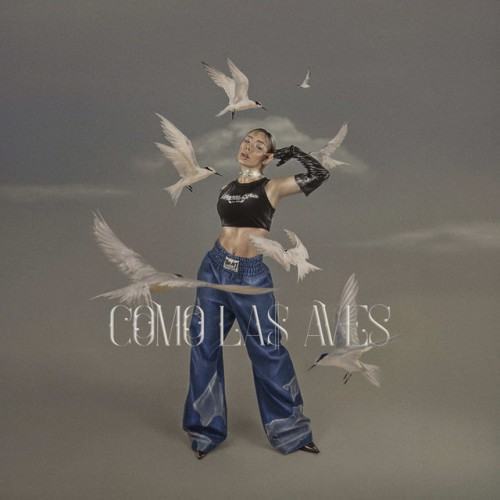 Como las Aves