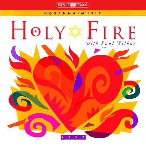 Holy Fire (Split Trax)