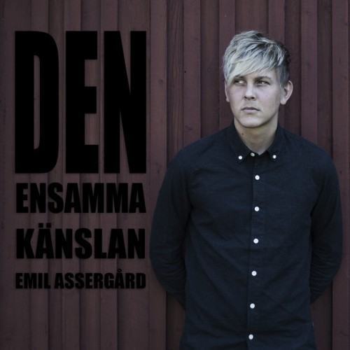 Den ensamma känslan