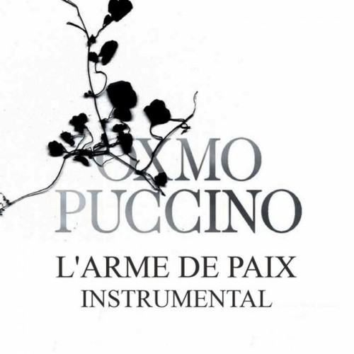 L'arme de paix (Version instrumentale)