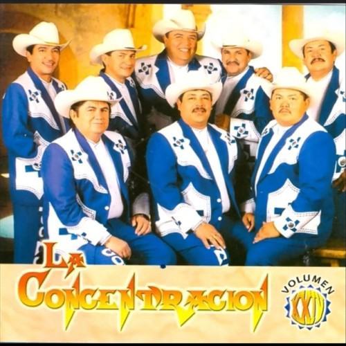 La Concentración, Vol. XXIV