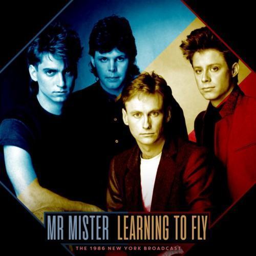 Learning to Fly (Live 1986)