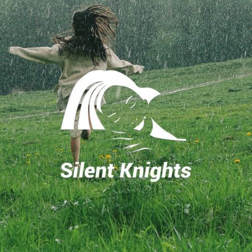 Rain Sounds for Meditiation