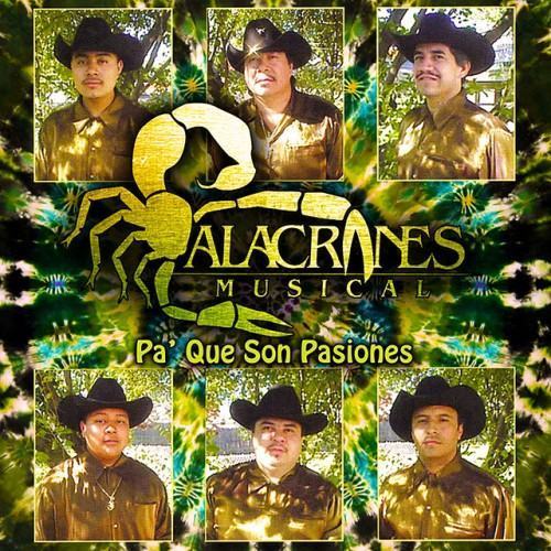 Pa' Que Son Pasiones