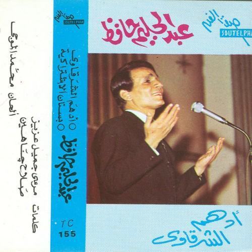 Adham El Sharkawy