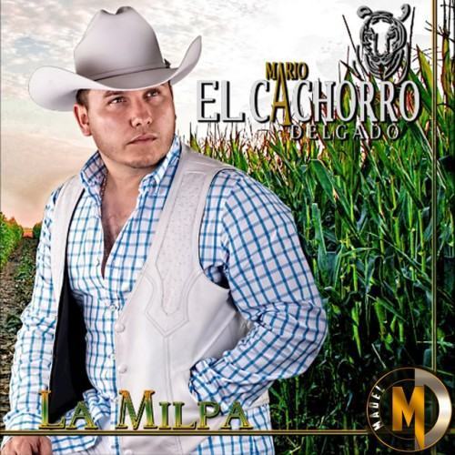 La Milpa