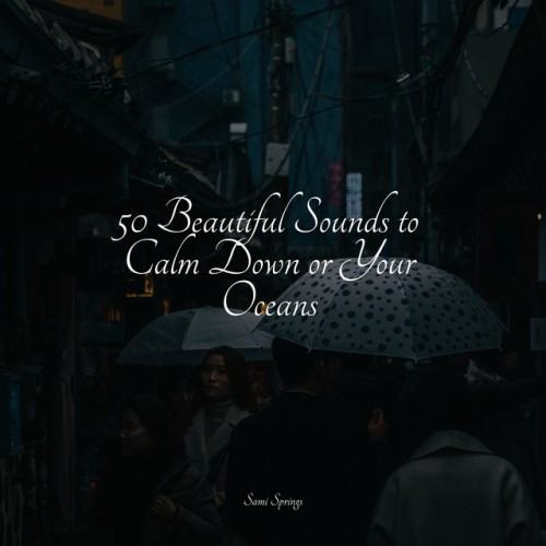50 Beautiful Sounds to Calm Down or Your Oceans