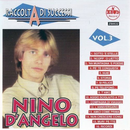 Raccolta di successi, vol. 3 (The Best of Nino D'Angelo Collection)