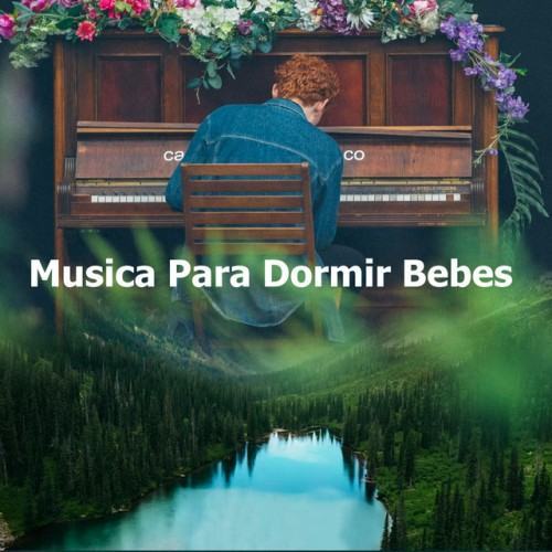 Musica Para Dormir Bebes