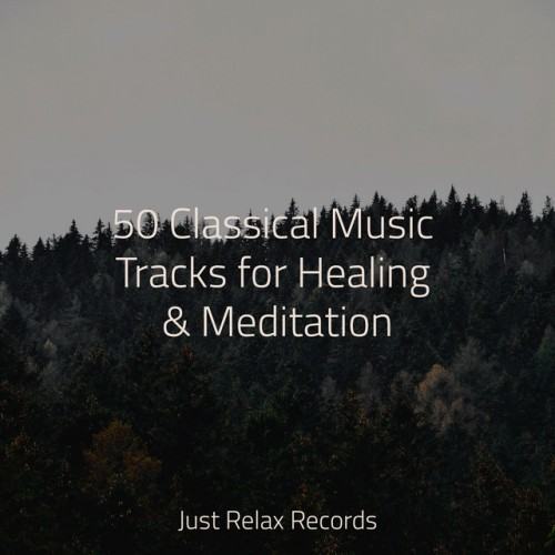 50 Classical Music Tracks for Healing & Meditation
