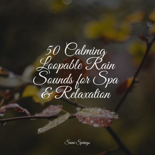50 Calming Loopable Rain Sounds for Spa & Relaxation