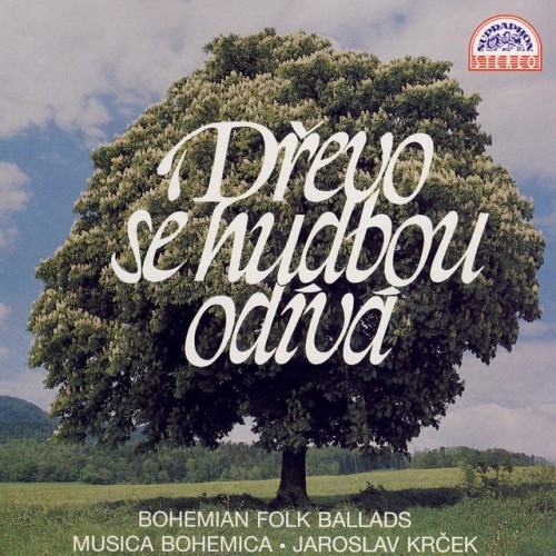 Dřevo Se Hudbou Odívá
