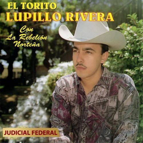 Judicial Federal