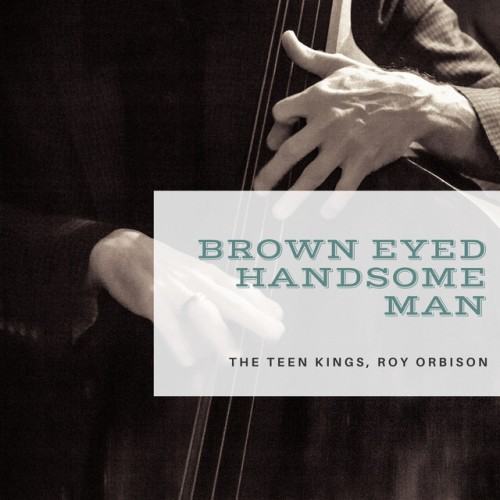 Brown Eyed Handsome Man