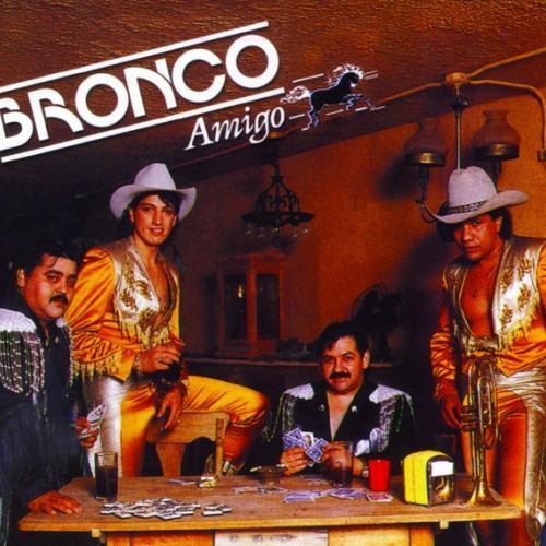 Bronco Amigo