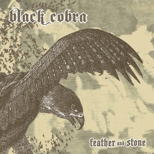 Feather And Stone