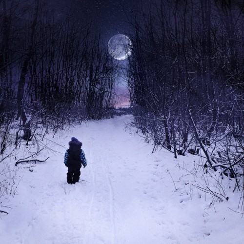 Nie wieder Winter