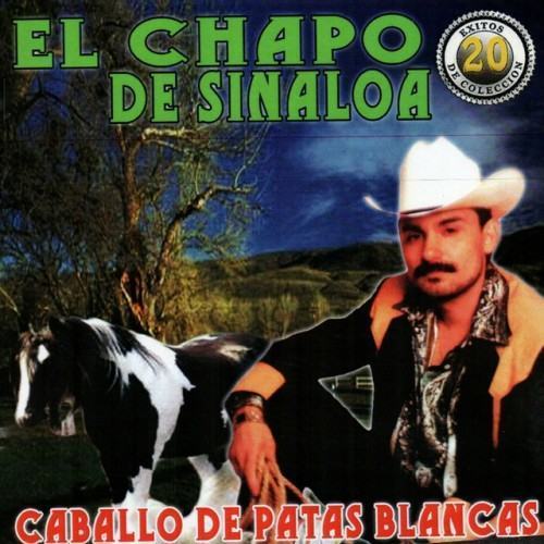 Caballo De Patas Blancas
