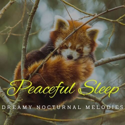 Piano Slumberscapes: Dreamy Nocturnal Melodies