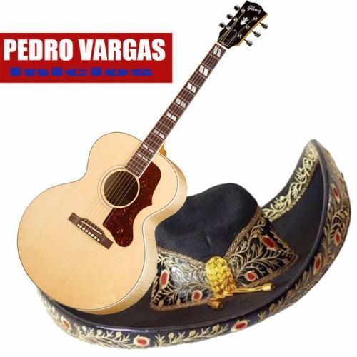 Inicios