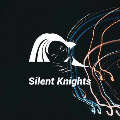 Ambient Sleep Music