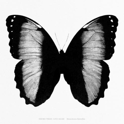Monochrome Butterflies