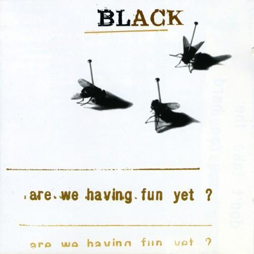 Are We Having Fun Yet?