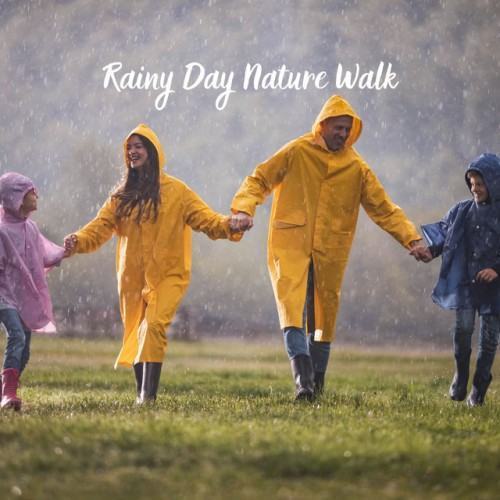 Rainy Day Nature Walk