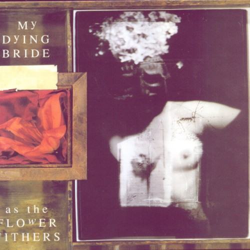 As the Flowers Withers