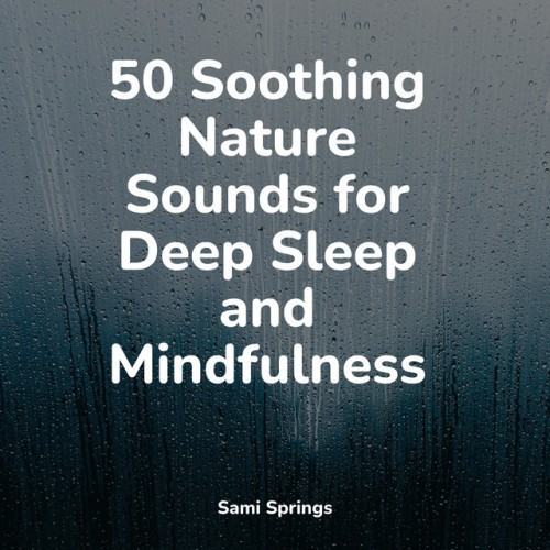50 Soothing Nature Sounds for Deep Sleep and Mindfulness