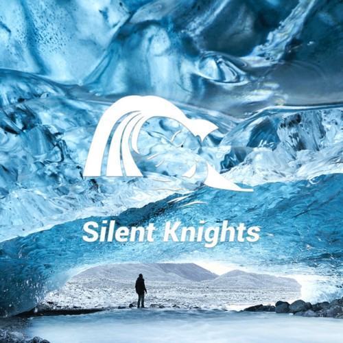 Winter Ambient Sleep