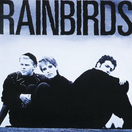 Rainbirds