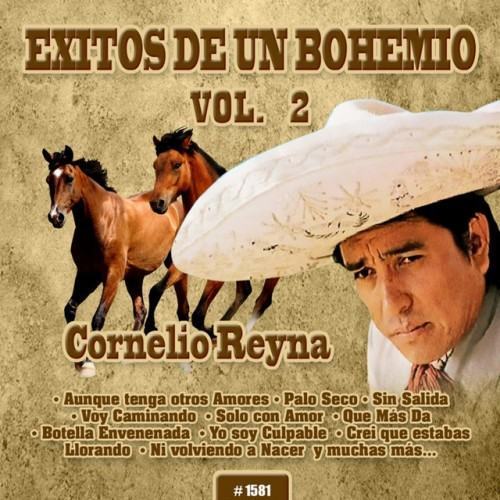 Exitos de un Bohemio, Vol. 2