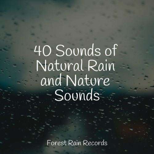 40 Sounds of Natural Rain and Nature Sounds