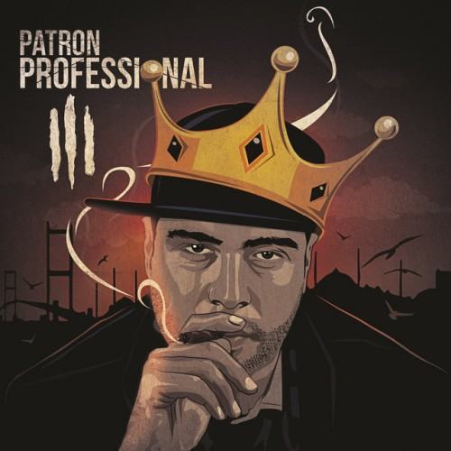 Professional 3