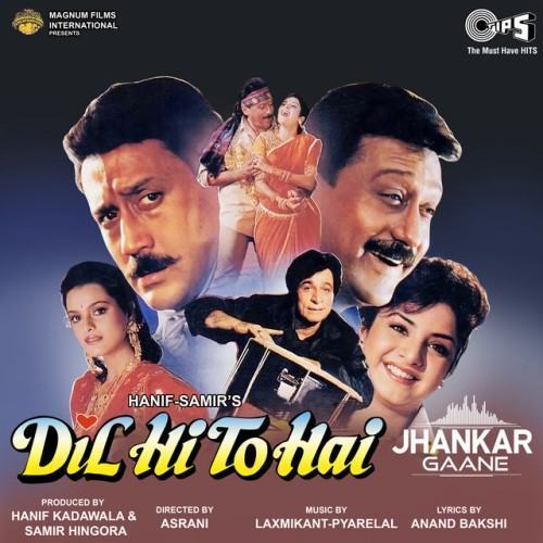 Dil Hi To Hai (Jhankar; Original Motion Picture Soundtrack)