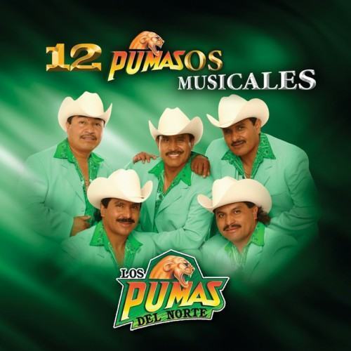 12 Pumazos Musicales