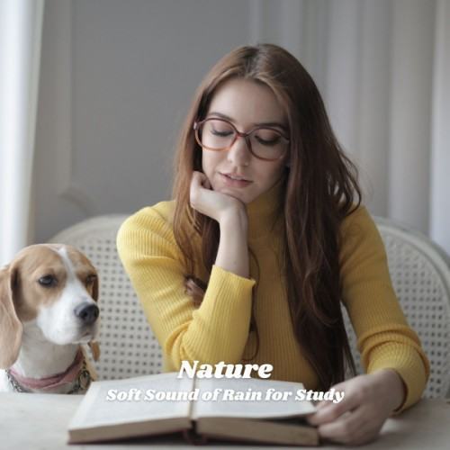 Nature: Soft Sound of Rain for Study