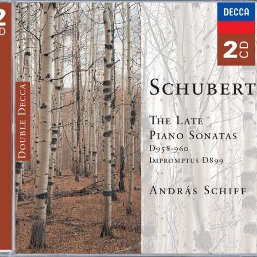 Schubert: The Late Piano Sonatas