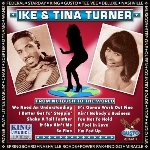 From Nutbush To The World (Original Pompeii Records Recordings)